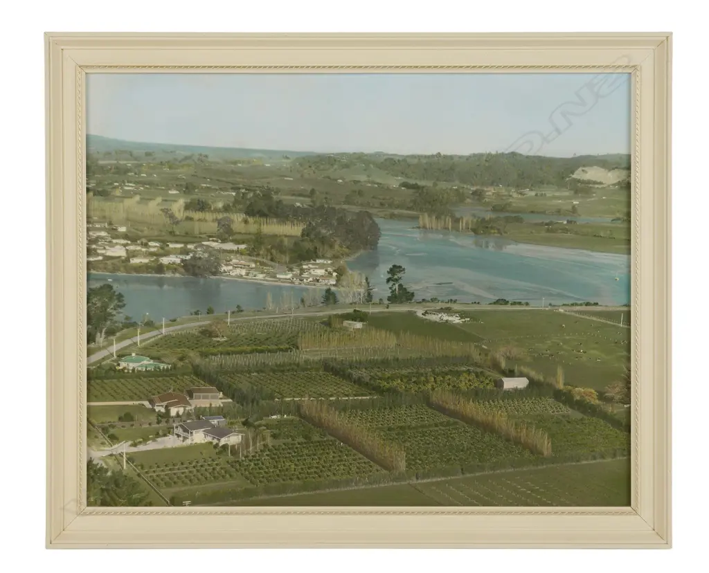 White's Aviation Ltd ‘Unidentified location’, c.1965 Image 1++